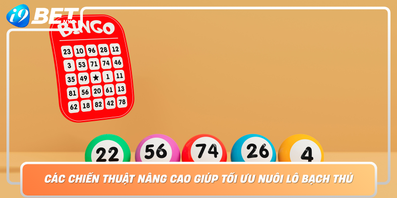Cac Chien Thuat Nang Cao Giup Toi Uu Nuoi Lo Bach Thu
