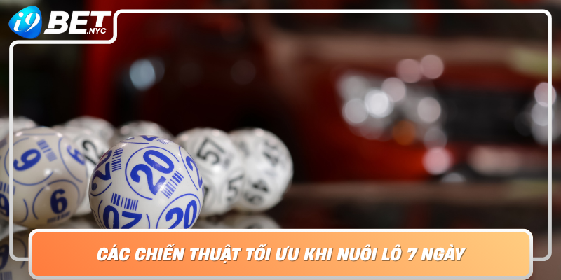 Cac Chien Thuat Toi Uu Khi Nuoi Lo 7 Ngay Cung I9Bet