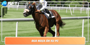 Dua Ngua An Xu Pc Trai Nghiem Kich Tinh Thang Lon De Dang