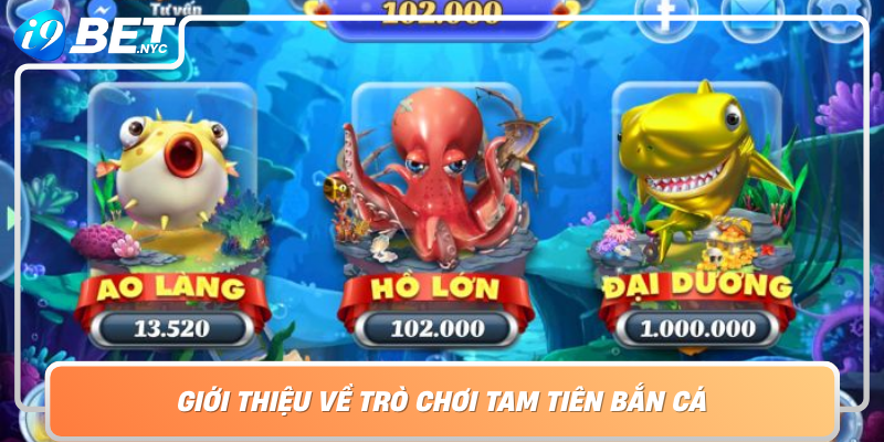 Gioi Thieu Ve Tro Choi Tam Tien Ban Ca Tro Choi Giai Tri Hap Dan Hang Dau Hien Nay