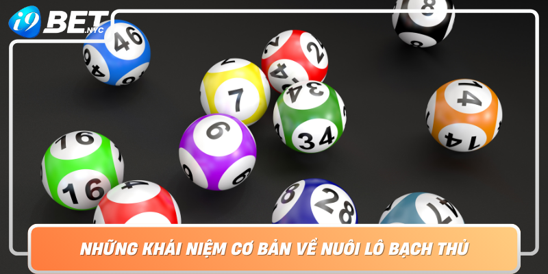 Nhung Khai Niem Co Ban Ve Nuoi Lo Bach Thu Hieu Ro Truoc Khi Bat Dau