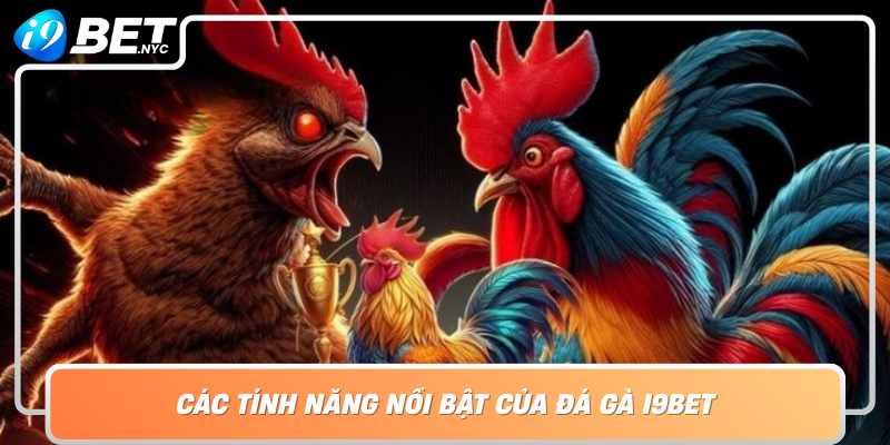 Cac Tinh Nang Noi Bat Cua Da Ga I9Bet 1