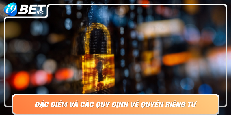 Dac Diem Va Cac Quy Dinh Ve Quyen Rieng Tu Trong Thuc Tien